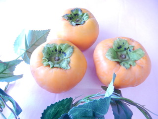 DSCN1108.JPG